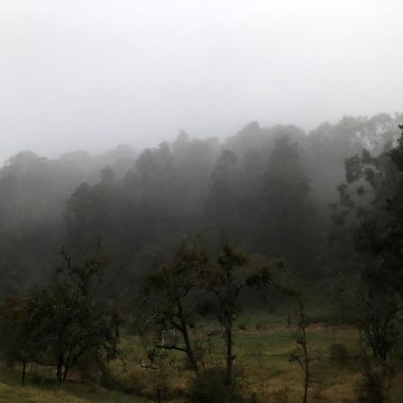 Cabana Romantica En El Bosque! Acaxochitlán Exteriör bild